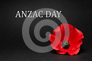 The remembrance poppy - poppy appeal. Poppy flower on black background. Decorative flower for Anzac Day.