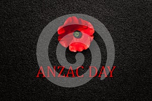 The remembrance poppy - poppy appeal. Poppy flower on black textured background. Decorative flower for Anzac Day.