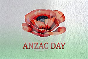 The remembrance poppy. Watercolor poppy flower on green background with text. Flower for Anzac Day.