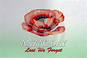 The remembrance poppy. Watercolor poppy flower on green background with text. Flower for Anzac Day.