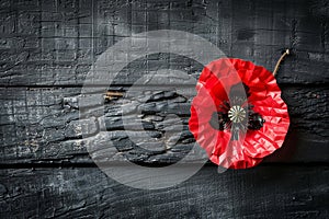 Remembrance Red Poppy Pin on Dark Wooden Texture Honoring Anzac Day Commemorations
