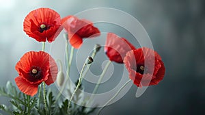 Remembrance Sunday and Memorial Day Poster with Red Poppy Flowers