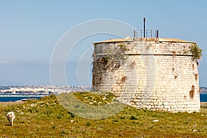 Remnants of an old brick tower overlooking the sea