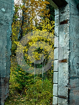 Remnants of an old coal mining town. Lower Bankhead,Banff National Park,Alberta,Canada