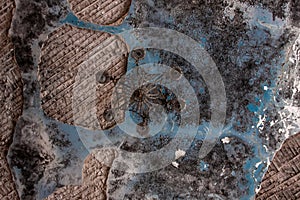 Remnants of a rusty chandelier hang from the shabby ceiling.