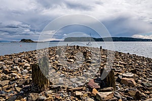 Remnants of wooden support pillars from Nanaimo's historic coal mining wharves in Departure Bay, Vancouver Island