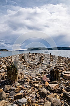 Remnants of wooden support pillars from Nanaimo's historic coal mining wharves in Departure Bay, Vancouver Island