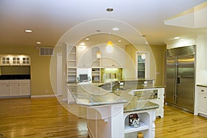 Remodeled Luxurious Modern Kitchen