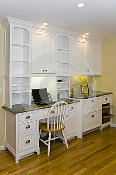 Remodeled Luxurious Modern Kitchen