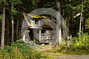 Remote Alaska cabin