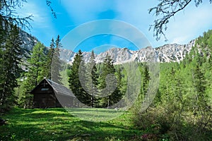 Petzen - Remote alpine wooden cottage with scenic view of mountain peaks Feistritzer Spitze (Hochpetzen) and Kriznik photo