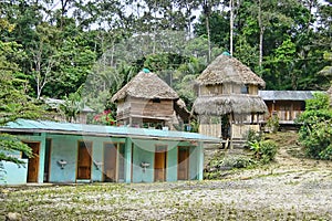 Remote Amazon Jungle Lodging