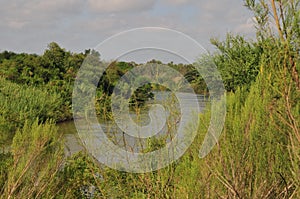 Rio grande river in Lower Rio Grande Valley,Texas photo