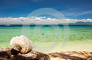 Remote beach with clear water and seashell