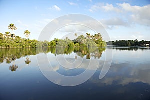 Remote Brazilian Lazy River Calm Reflection