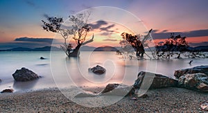 The remote mangrove beach at Cape Panwa in Phuket, Thailand photo