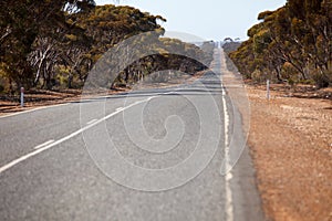 Remote road in australian bush