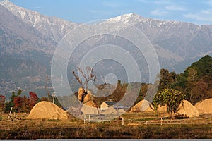 Remote rural Agriculture in Remote Himalayas India