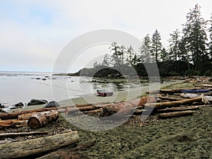 A remote sandy beach along the west coast trail. There is a rowboat lying in the sand