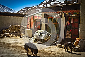A remote southern Tibetan Village in Tibet with dog and lady