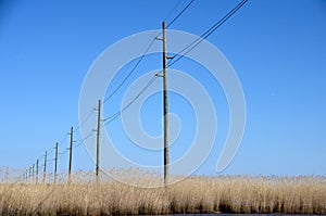 Remote Utility Poles