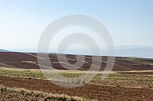 Remote view of dirt roads between plowed areas