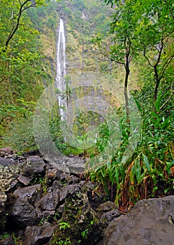 Remote waterfall in rainforest in Hawaii