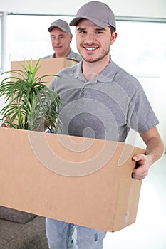 removals men carry cardboard boxes