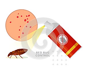 Remove Bed Bugs - Genus Cimex - Stock Illustration