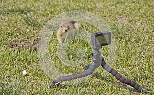 we remove the gopher on a video camera