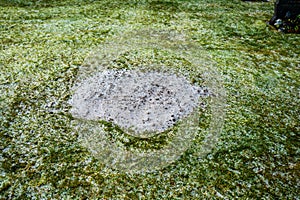 Removed grave in a cemetery..