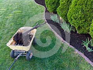 Removing a dead arborvitae tree from a flowerbed