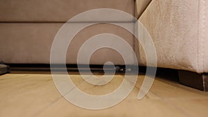 Removing dirt from floor with vacuum cleaner indoors close up shot from the floor level with biege sofa on background