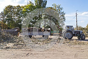 Removing fallen tree with tractor and loader