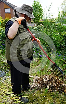 Removing leaves from the garden