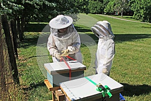 Removing Ratchet Straps from a Beehive