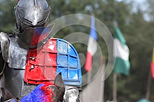 Renaissance Festival ~Jousting~