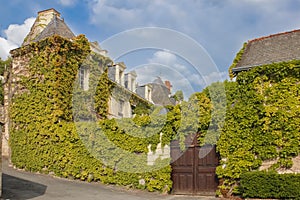 Renaissance Mansions covered with ivy. Chinon. France