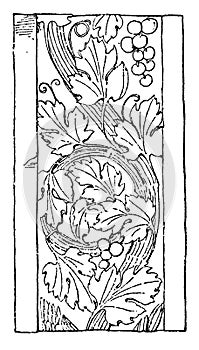 Renaissance Ornament Vine was used as a design on an Italian pilaster, vintage engraving