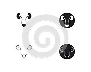 Renal system vector icon illustration