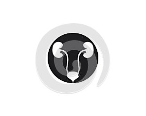 Renal system vector icon illustration