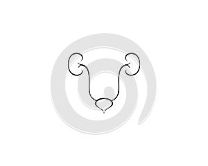 Renal system vector icon illustration