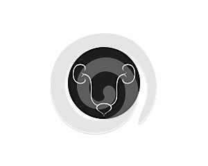 Renal system vector icon illustration