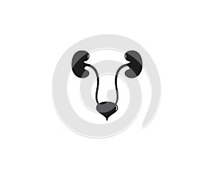 Renal system vector icon illustration