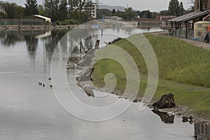 renaturation or ecological restoration in damaged ecosystems