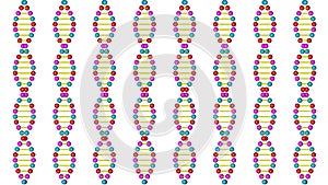 Render 3d DNA model on a white background