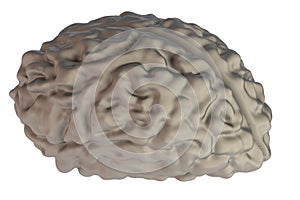 Render of brain