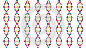 Render 3d DNA model on a white background