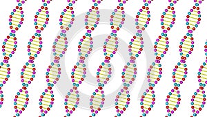 Render 3d DNA model on a white background