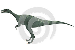 Render of eoraptor